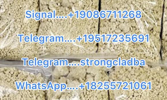 Medium with watermark a10
