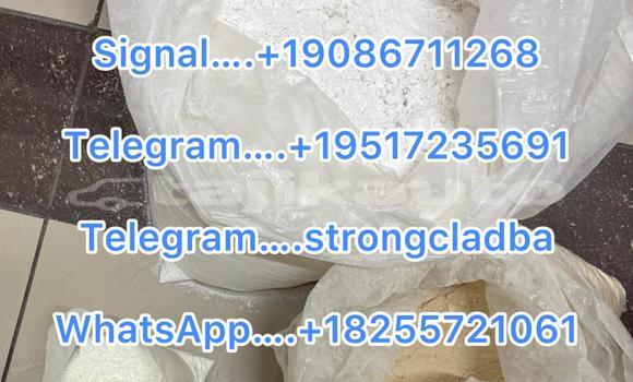 Medium with watermark a18