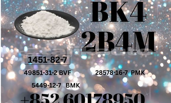 Medium with watermark bk4 2b4m cas 1451 82 7 best factory