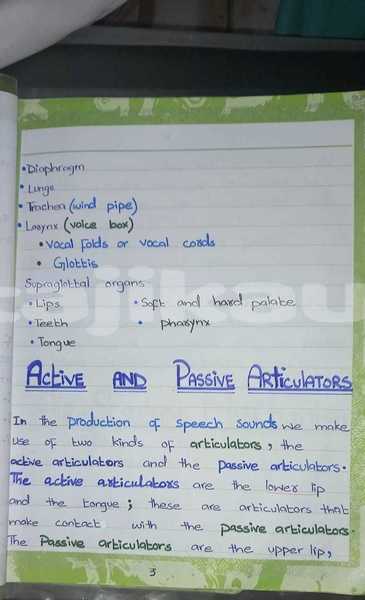 Big with watermark whatsapp image 2026 07 26 at 8.58.45 am 2 