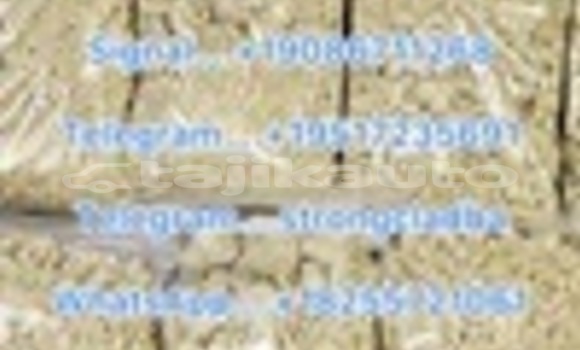 Medium with watermark a10