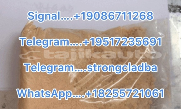 Medium with watermark a11