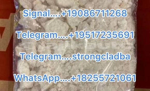 Medium with watermark a16