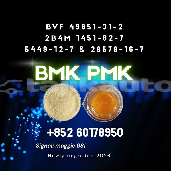 Big with watermark bmk cas 5449 12 7 reasonable cost