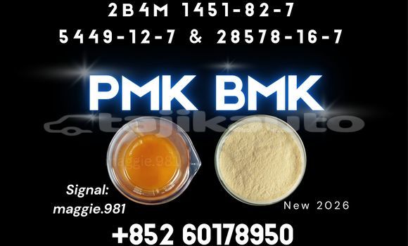 Medium with watermark pmk cas 28578 16 7 synthesis reaction vessel