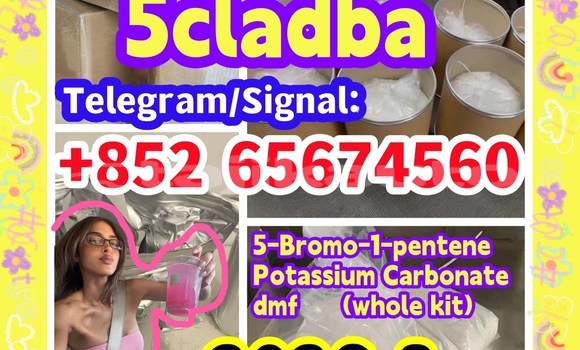 Buy CAS 1119-51-3 in Buston in Sughd Buy CAS 1119-51-3 in Buston in Sughd
