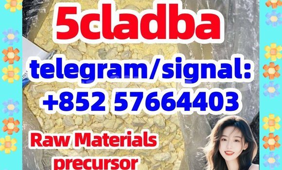 Medium with watermark 58
