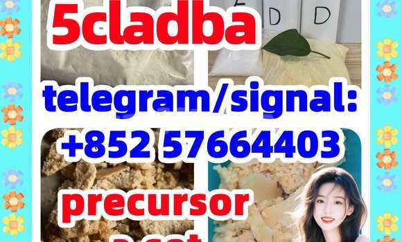 Buy 5CL ADB A precursor raw in Dangara in Khatlon Buy 5CL ADB A precursor raw in Dangara in Khatlon