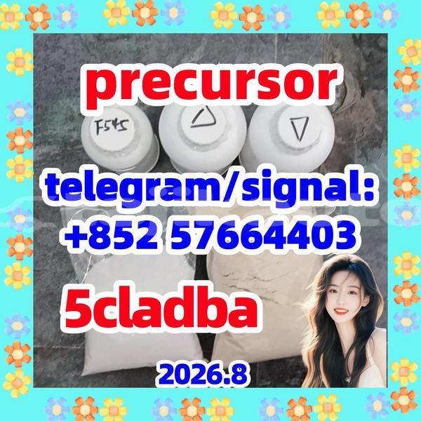 Big with watermark 57