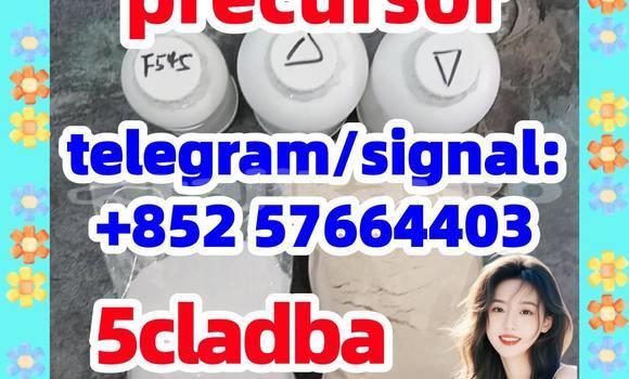Medium with watermark 57