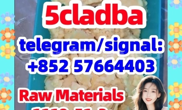 Medium with watermark 56