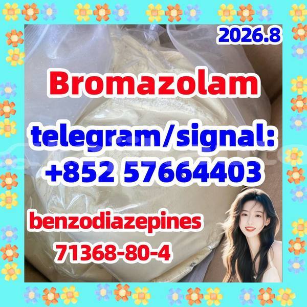 Big with watermark b1