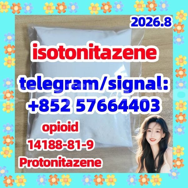 Big with watermark i1