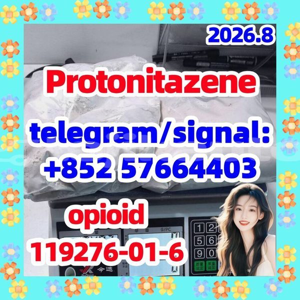 Big with watermark p2
