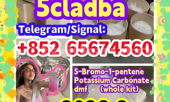 Buy CAS 1119-51-3 in Buston in Sughd Buy CAS 1119-51-3 in Buston in Sughd
