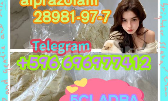 Medium with watermark 0.65