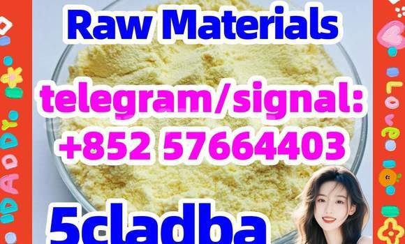 Medium with watermark 51