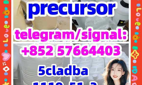 Medium with watermark 52
