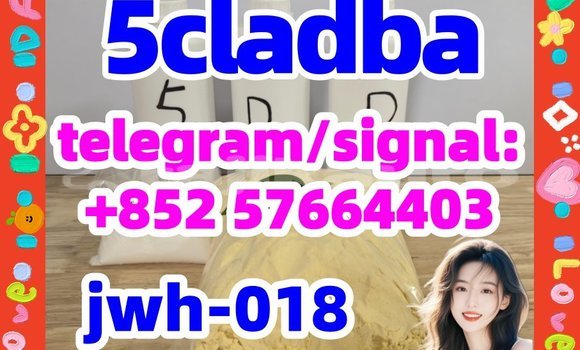 Medium with watermark 53