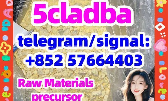 Medium with watermark 56