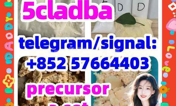 Medium with watermark 57