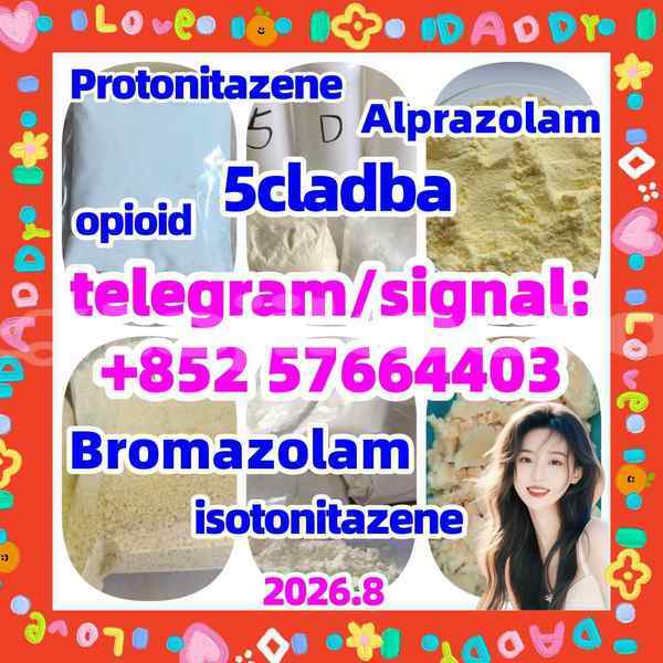 Big with watermark z1