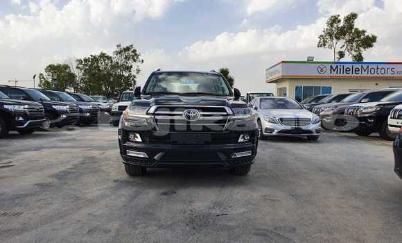Buy New Toyota Land Cruiser Black Car in Adrasmon in Sughd Buy New Toyota Land Cruiser Black Car in Adrasmon in Sughd