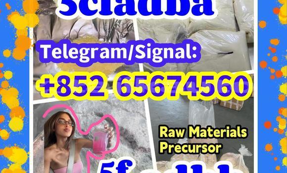 Medium with watermark quanbu %e5%89%af%e6%9c%acfdbhdfgb