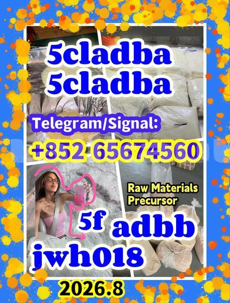 Big with watermark quanbu %e5%89%af%e6%9c%acfdbhdfgb