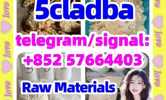 Medium with watermark 51