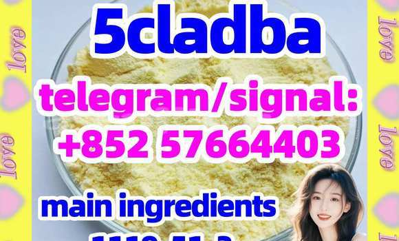 Medium with watermark 53