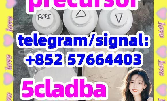Medium with watermark 56
