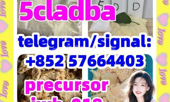 Buy For Sale: 5cladba in Ayni in Sughd Buy For Sale: 5cladba in Ayni in Sughd
