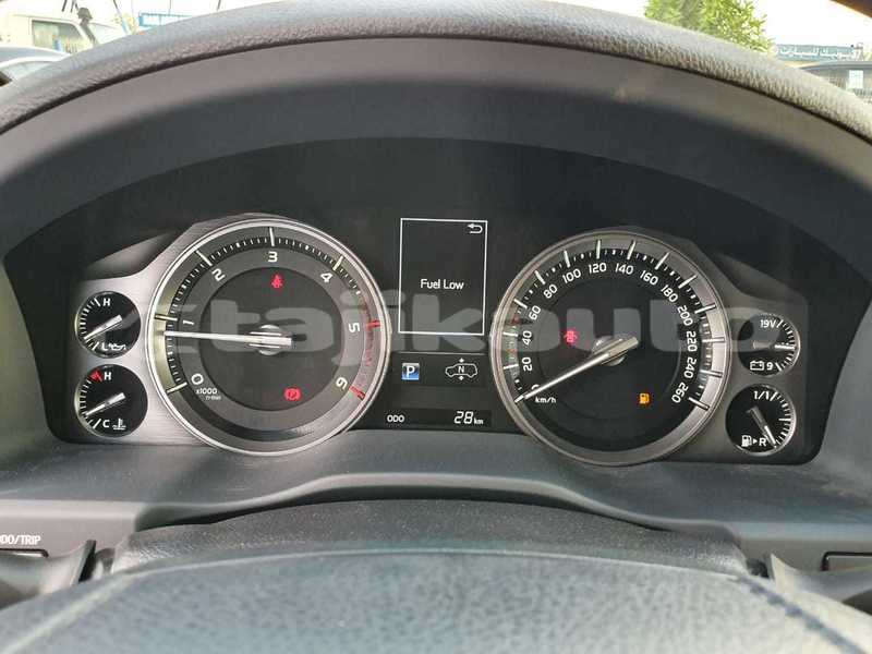 Big with watermark 7