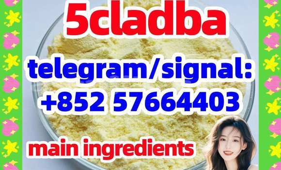 Medium with watermark 51