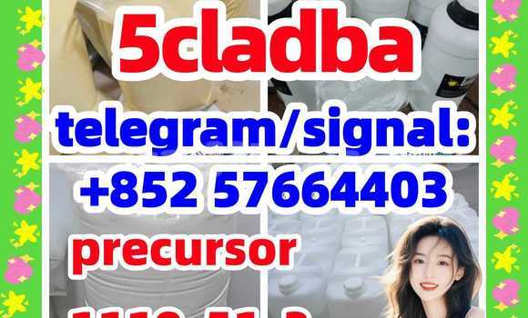 Medium with watermark 52