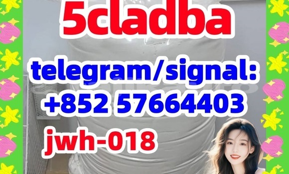 Medium with watermark 53