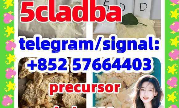 Medium with watermark 54