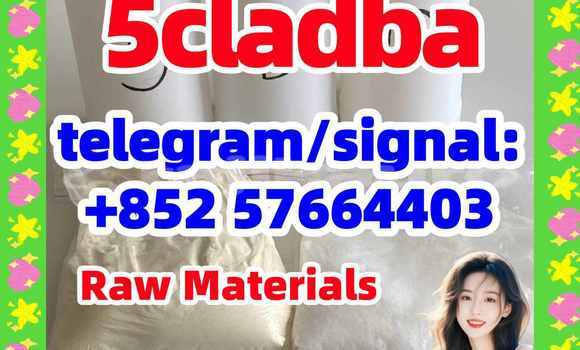 Medium with watermark 55