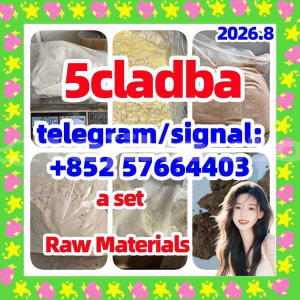 Big with watermark 56