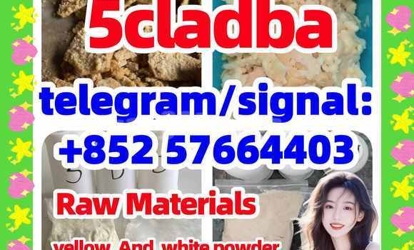 Medium with watermark 58