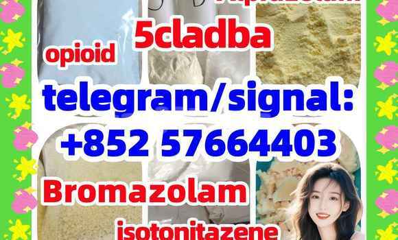 Medium with watermark z1