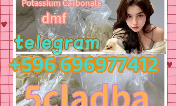 Medium with watermark 8.24