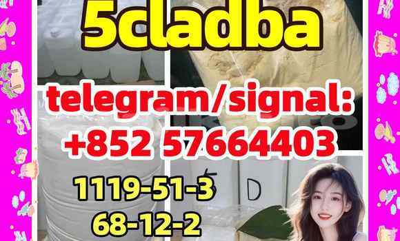 Medium with watermark 51