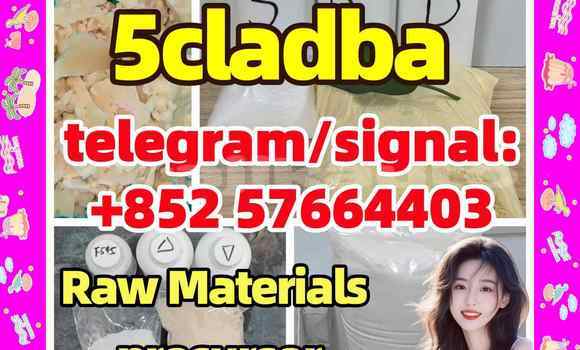 Medium with watermark 53