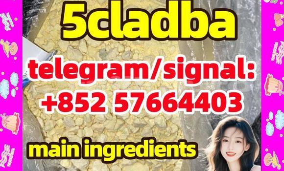 Medium with watermark 54