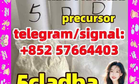 Medium with watermark 55