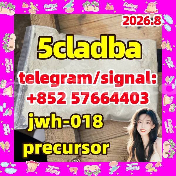 Big with watermark 56