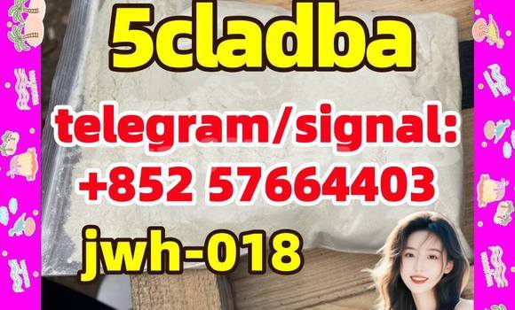 Medium with watermark 56