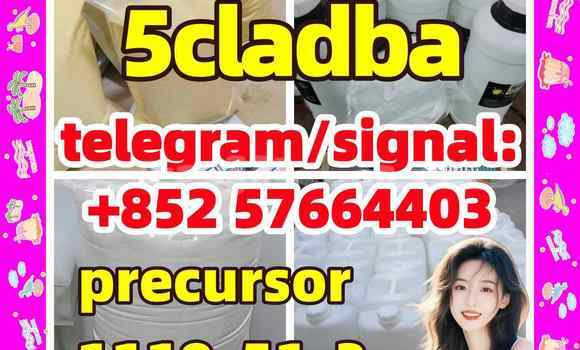 Medium with watermark 57